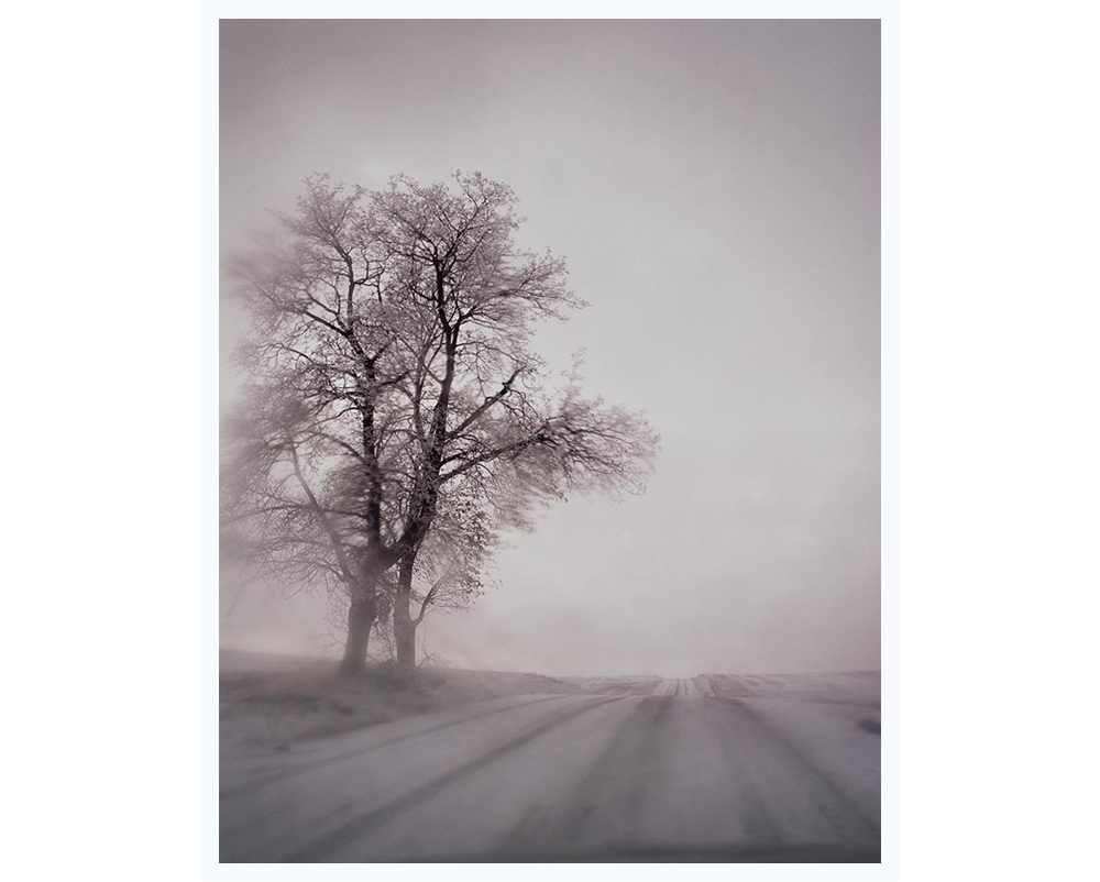 9216-B from the series Excerpts from Silver Meadows – Todd Hido